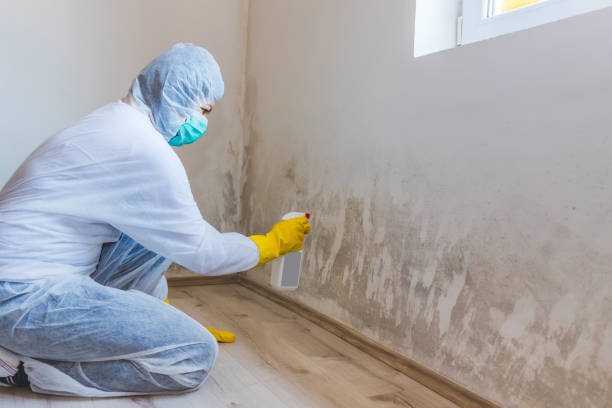 Hvac And Air Duct Mold Remediation inspection of HVAC system in Du Bois