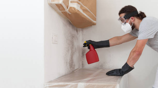 Attic Mold Remediation treatment on roof deck in Du Bois